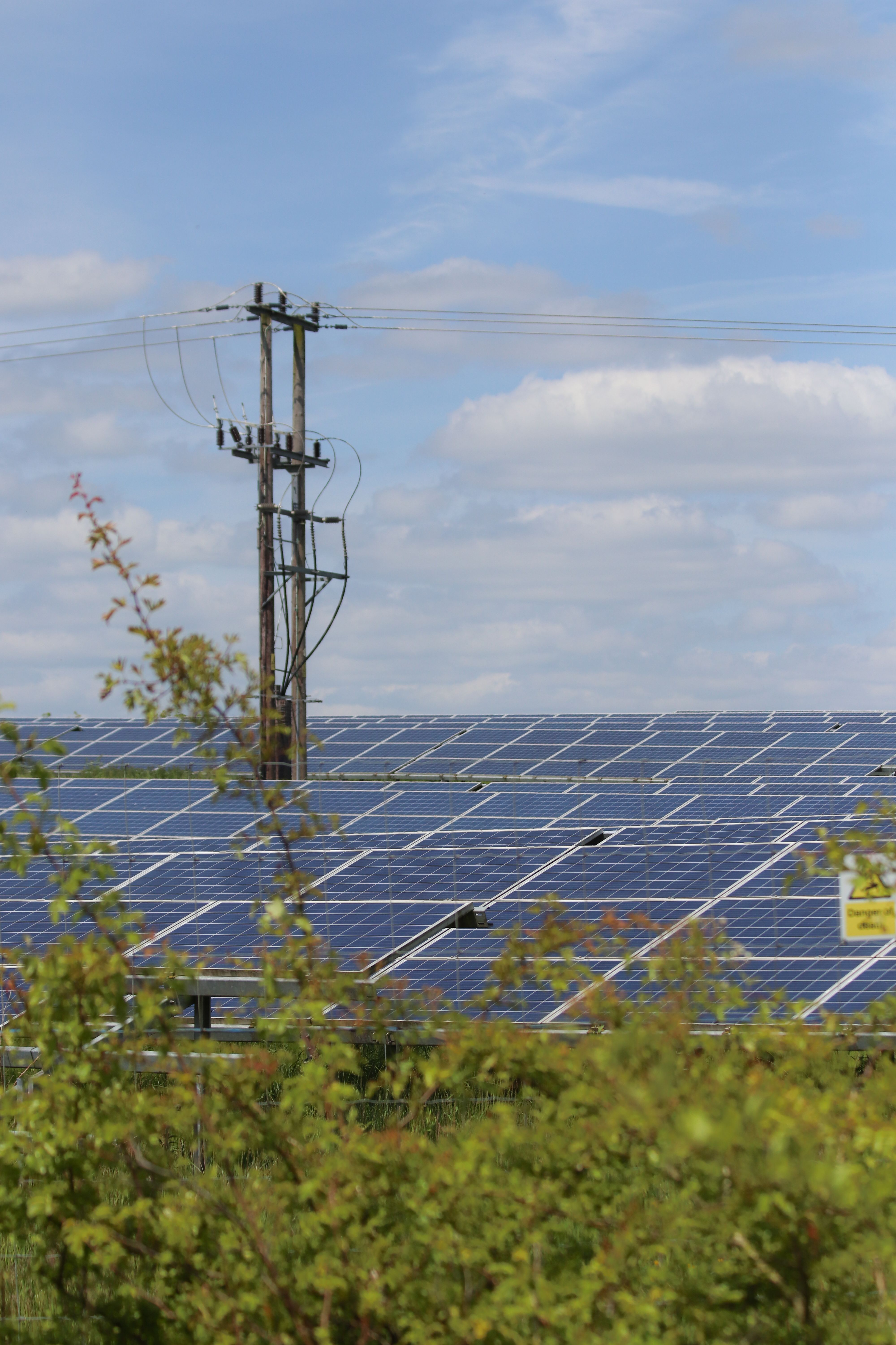 Ground-mounted solar panel array